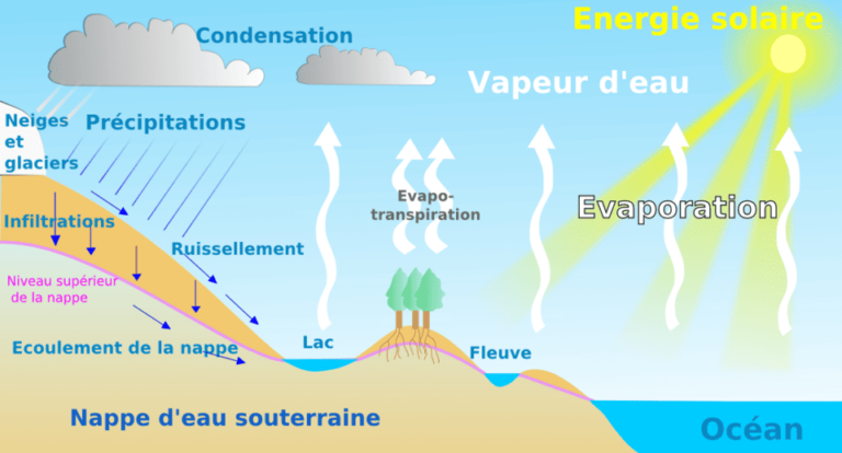 Schéma représentant le cycle de l'eau : Neige et glaciers puis précipitations, ruissellement, infiltration, nappe d'eau souterraine, lac, évapotranspiration des arbres, fleuves, océan, évaporation, vapeurs d'eau, énergie solaire et condensation.