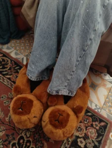Photo d'énormes chaussons portés en forme de Capibara sur tapis.