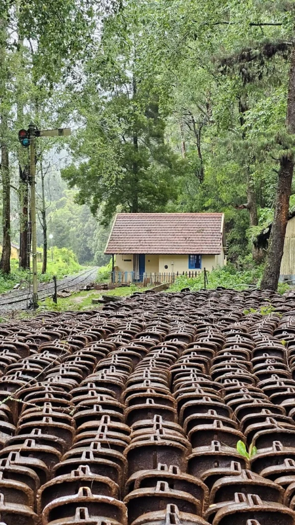 Photo d'une toute petite habitation en bordure d'une petite route et entourée d'arbre. Devant, se trouvent un champ de pièces métalliques.