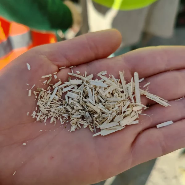 On voit de la paille de chanvre dans le creux d'une main.